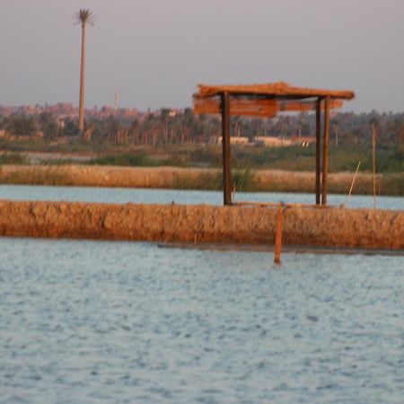 Kom El Dikka Agri Lodge ‘Izbat an Nāmūs Esterno foto