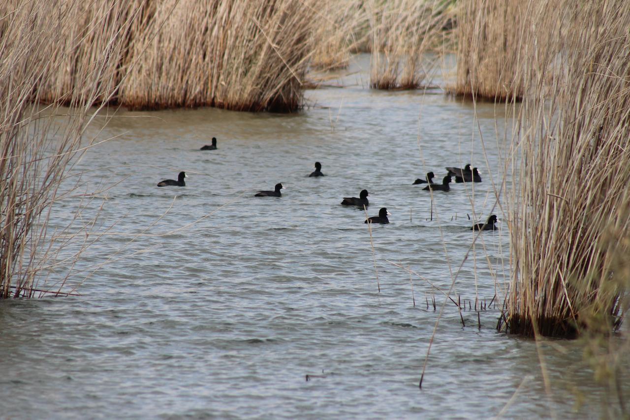 Kom El Dikka Agri Lodge ‘Izbat an Nāmūs Esterno foto