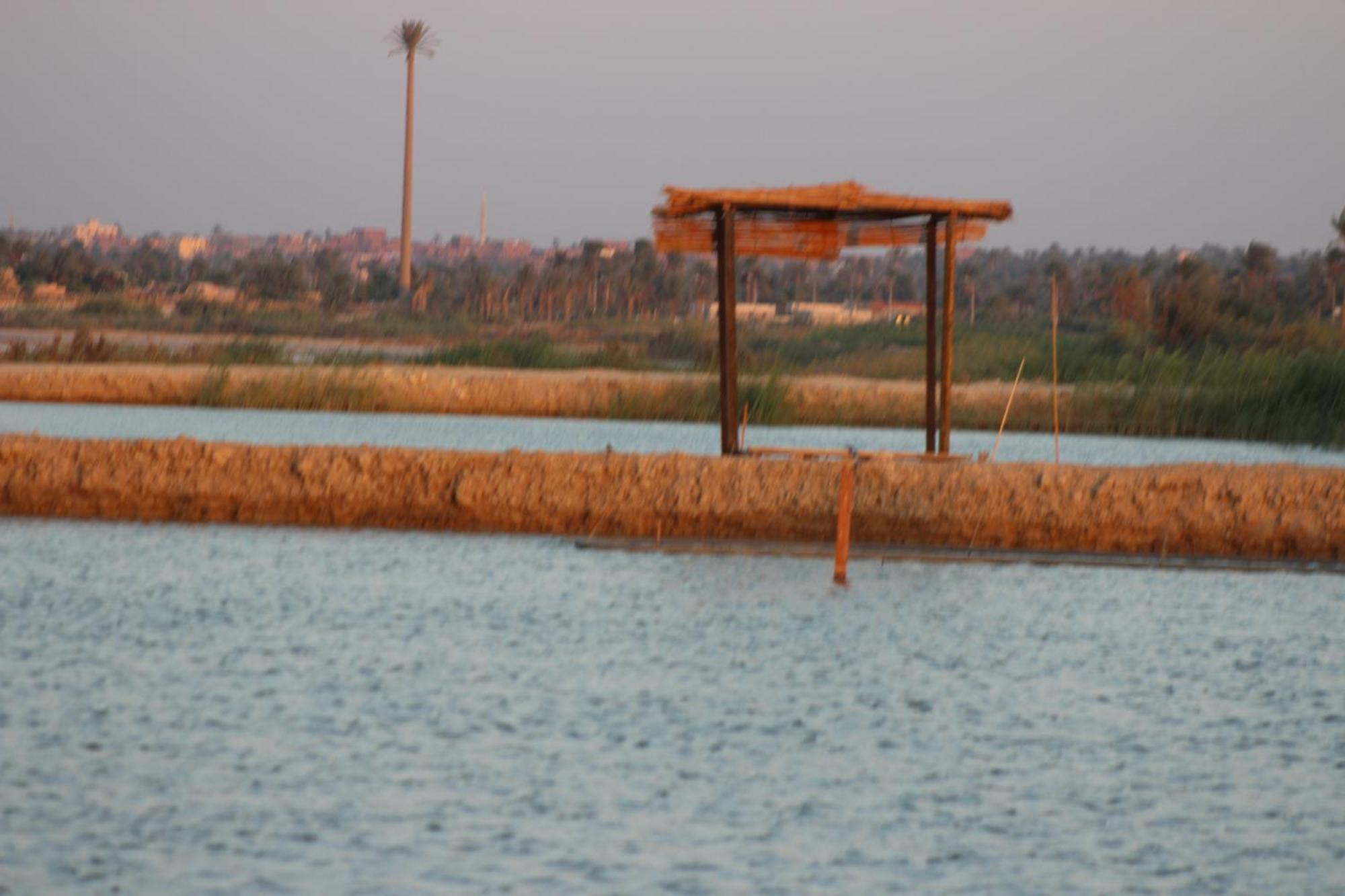 Kom El Dikka Agri Lodge ‘Izbat an Nāmūs Esterno foto